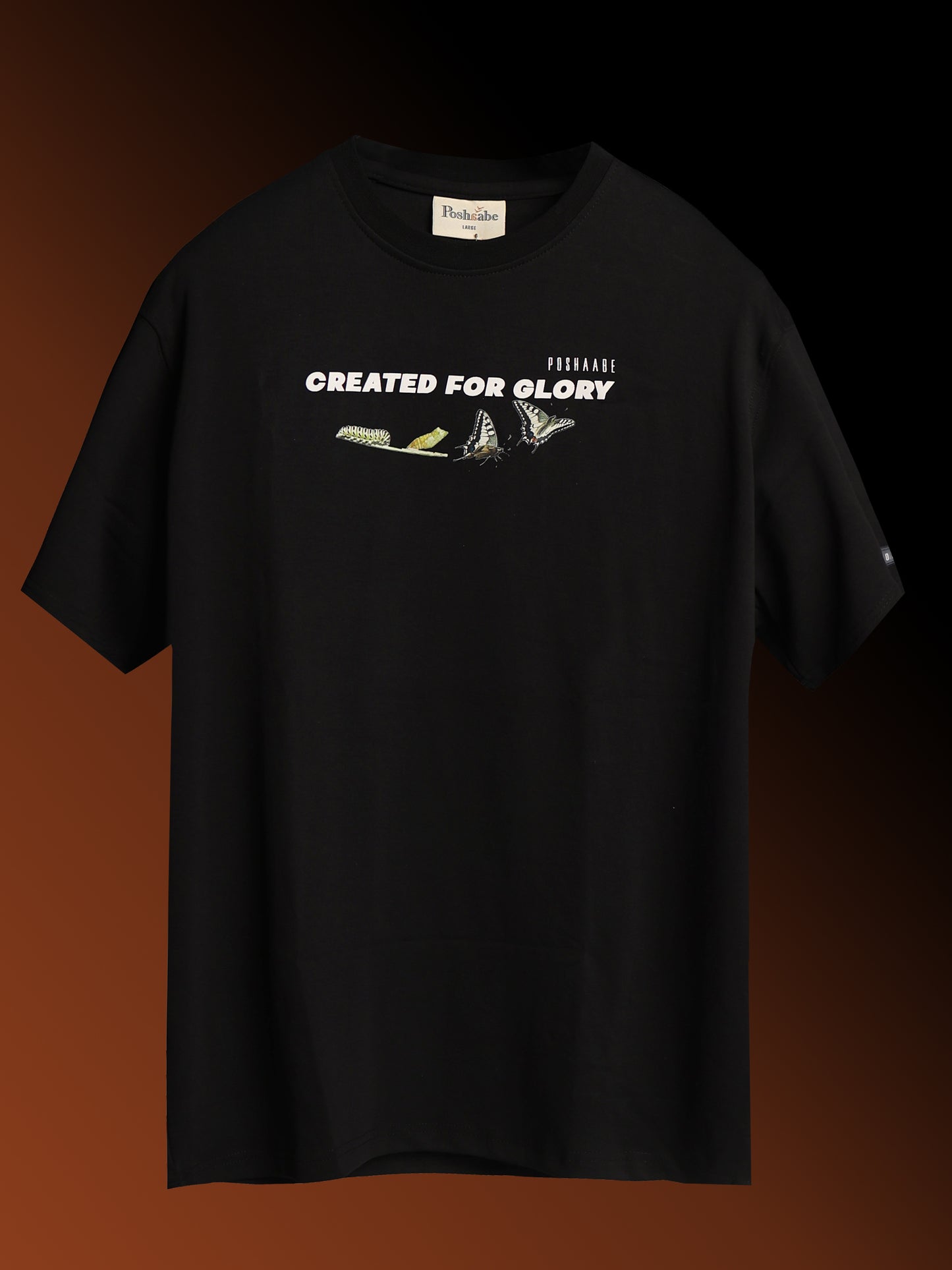 Created for Glory